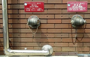 �Î�[���X�v�����N���[������