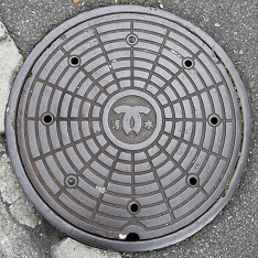 �_�ˎs�}���z�[��