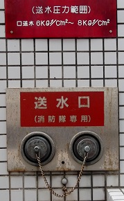 �ߔe�s������