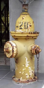 �ߔe�s���̏��ΐ�