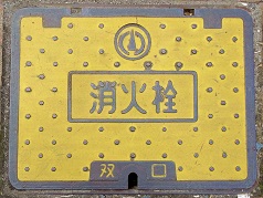 ���R�s�o�����ΐ�