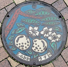 白岡市マンホール