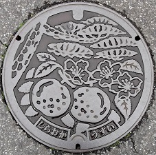 白岡市マンホール