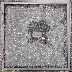 �É��s�}���z�[��