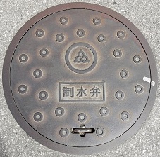 �L����s������