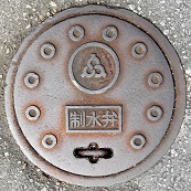 �L����s������