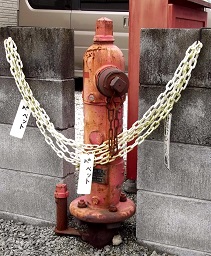 �R�k�����̏��ΐ�