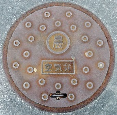 �ǒJ����C��