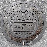 �ǒJ����C��