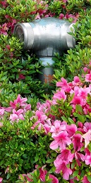 �ɒO�s������