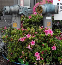 �ɒO�s������