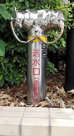 �������s������