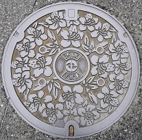 �݂悵�s�}���z�[��