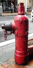 ���Q�s���̏��ΐ�