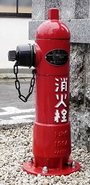 ���Q�s���̏��ΐ�