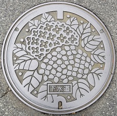 ���i�s�}���z�[��