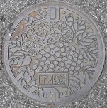 ���i�s�}���z�[��