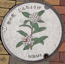 ���c���s�}���z�[��