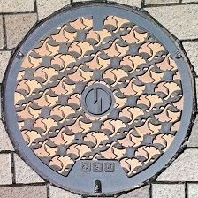 ���s�}���z�[��