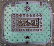 ���Ԏs�o�^�t���C��