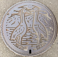 �o���s�}���z�[��