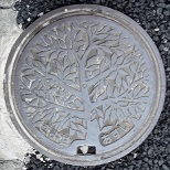 �����s�}���z�[��