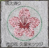 �v���Ďs�Δ�