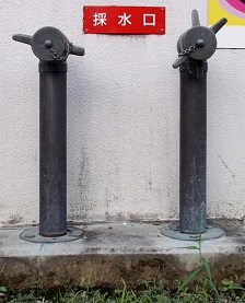 �����s������