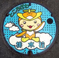 ����s�r����