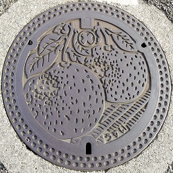 ����s�}���z�[��