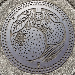 ����s�}���z�[��