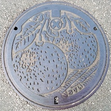 ����s�}���z�[��