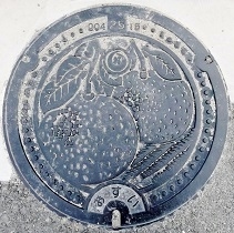 �V����s�}���z�[��