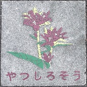 ����s�Δ�