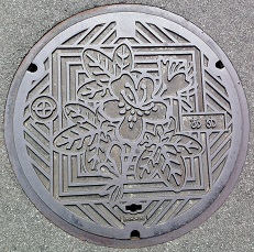 京田辺市マンホール