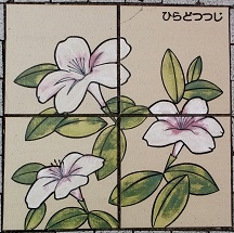 ���c�ӎs����