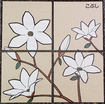 ���c�ӎs����