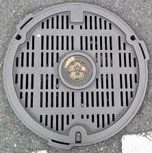 �ޗǎs�}���z�[��