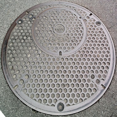 �ޗǎs������