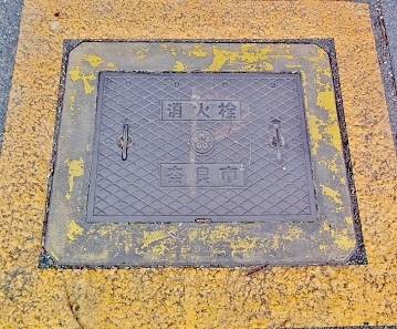 �ޗǎs���ΐ�