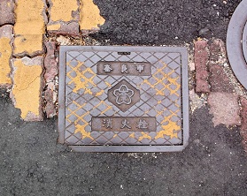 �ޗǎs���ΐ�