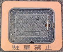 �ޗǎs���ΐ�