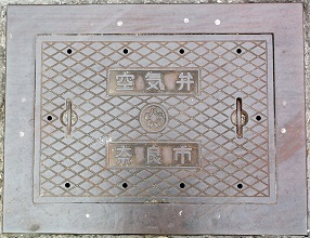 �ޗǎs��C��