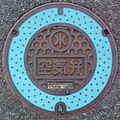 ���ɓ�����C��