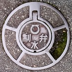 ���ɓ���������