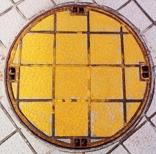 ���ɓ����h�ΐ���