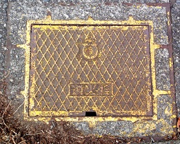 ���ɓ������ΐ�