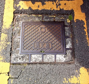 ���ɓ������ΐ�