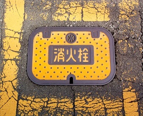 ���ɓ������ΐ�