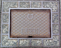 ���ɓ������ΐ�